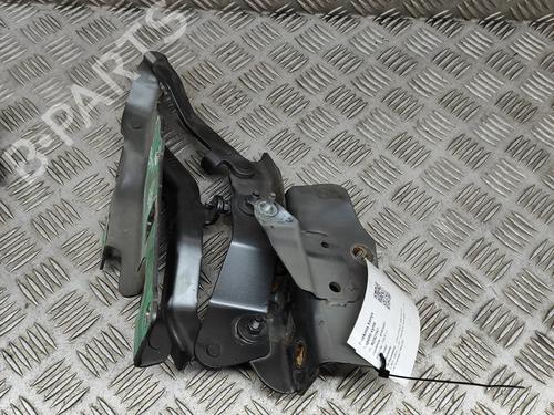 Hinge/Door check strap LAND ROVER DISCOVERY V (L462) 3.0 D 4x4 | BP16536894C146