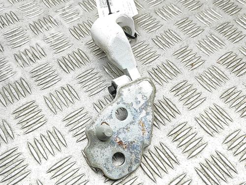 Hinge/Door check strap FORD TRANSIT V363 Platform/Chassis (FED, FFD) 2.0 EcoBlue | BP33732414C146 - Image 4