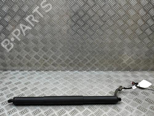 Gassdemper Bakluke Gassdemper Bakluke AUDI Q5 (FYB, FYG) 2.0 TDI quattro (190 hp) 36391120 36391120