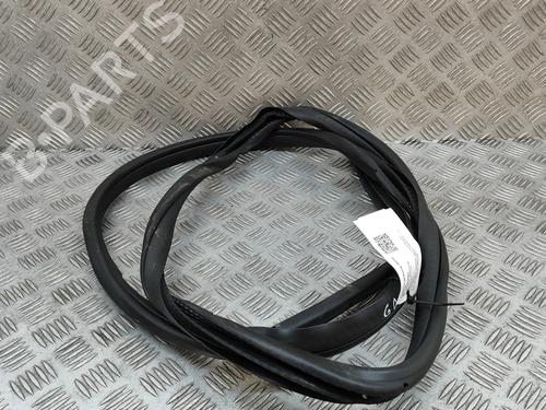 Gummiliste Gummiliste NISSAN QASHQAI III (J12) 1.3 DIG-T (158 hp) 28554822 28554822