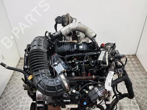 Engine FORD TRANSIT V363 Van (FCD, FDD) 2.0 EcoBlue | BP36934416M1  - Image 6