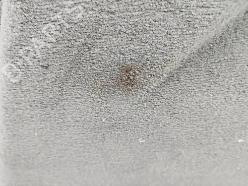 Boot lining BMW X5 (G05, F95) xDrive 30 d Mild-Hybrid | BP31592646I3 - Image 5