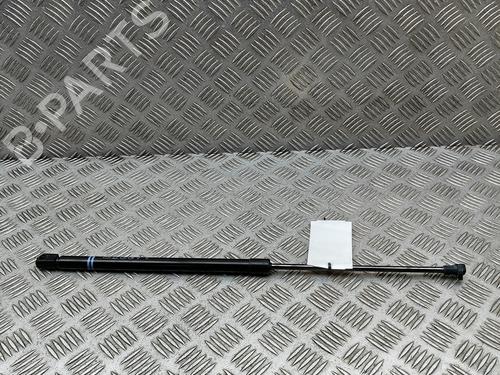 Tailgate lift support VW GOLF VIII (CD1, DA1) 2.0 TSI R 4motion | BP30005090C138