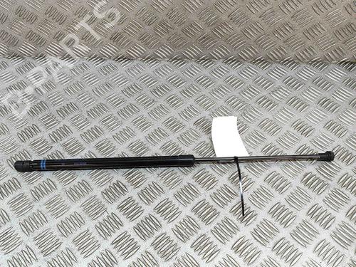 Used Tailgate lift support VW GOLF VIII (CD1, DA1) 1.5 TSI (150 hp) 27776417