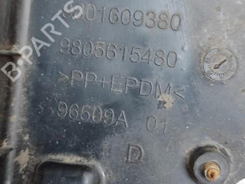 Wheel arch CITROËN C4 CACTUS 1.6 BlueHDi 100 | BP29975312C56