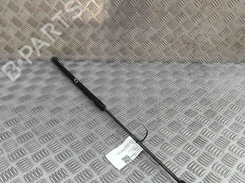 Hood lift support AUDI A3 Sportback (8VA, 8VF) RS3 quattro | BP29404107C139 