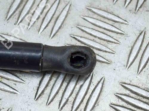 Tailgate lift support LAND ROVER RANGE ROVER EVOQUE (L538) 2.0 D 4x4 | BP14636786C138