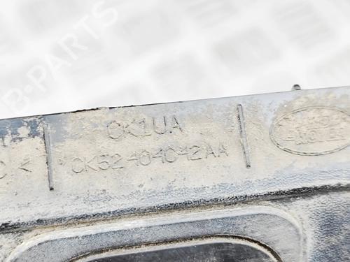 Licence plate light LAND ROVER RANGE ROVER IV (L405) 5.0 SCV8 4x4 | BP32119006I40 