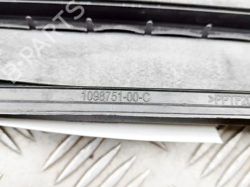 Grill TESLA MODEL Y (5YJY) Long Range All-wheel Drive | BP38782599C40 - Image 7