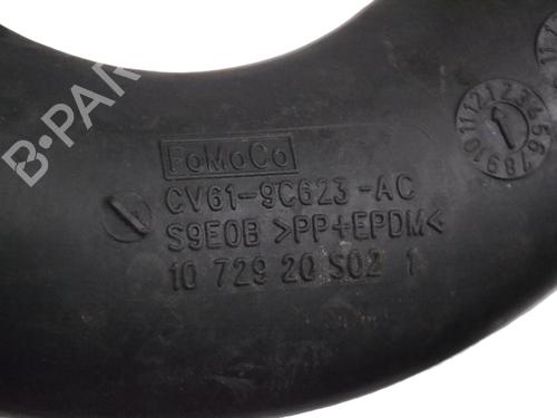 Pipe FORD FOCUS III 1.0 EcoBoost | BP30235012M125 - Image 5