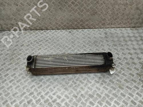 Used Intercooler Intercooler LAND ROVER DISCOVERY III (L319) 2.7 TD 4x4 (190 hp) 29945380 29945380