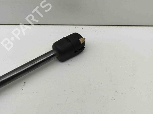 Tailgate lift support LAND ROVER RANGE ROVER EVOQUE (L538) 2.0 D 4x4 | BP28434309C138