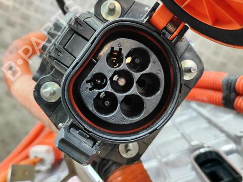 Inverter/Converter NISSAN LEAF (ZE1) Electric | BP32191717M119 