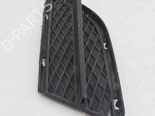 Grille BMW 3 (E90) 318 i | BP14607746C40 