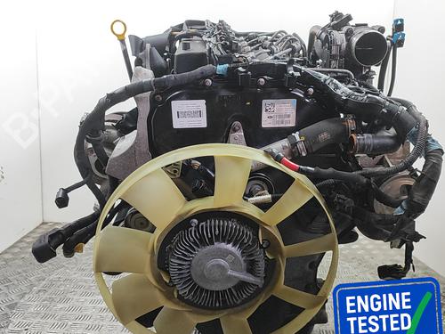 Used Engine Engine FORD RANGER (TKE) 3.2 TDCi 4x4 (200 hp) 35983273 35983273