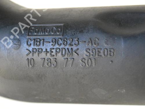 Pipe FORD FIESTA VI (CB1, CCN) 1.0 EcoBoost | BP30217665M125 - Image 5