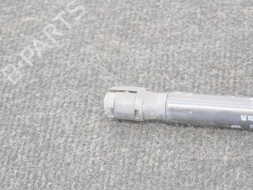 Hood lift support BMW 5 (F10) 520 d | BP14607793C139 