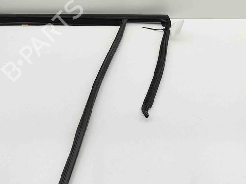 Door moulding trim BMW X3 (G01, F97, G08) xDrive M40 i | BP29487641C150 