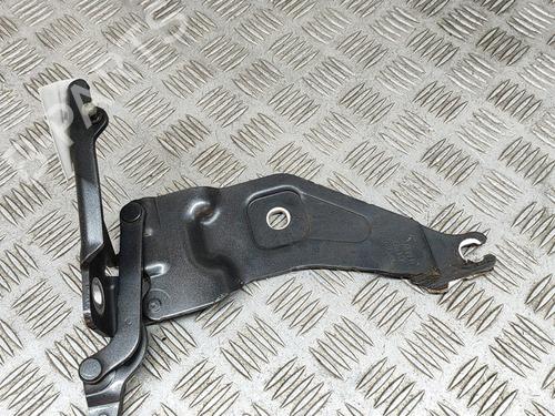 Hinge/Door check strap BMW X5 (E70) xDrive 40 d | BP19280931C146 