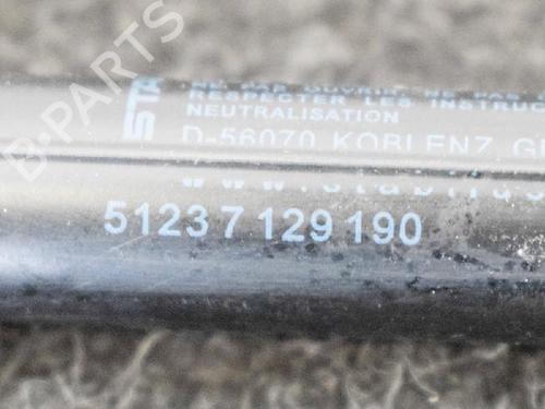 Hood lift support BMW 3 Coupe (E92) 330 xi | BP14662483C139 