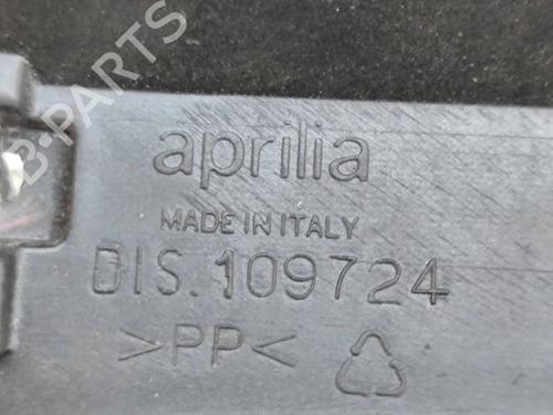 Other APRILIA MOTORCYCLES TUONO Tuono R (RR) | BP28555974O1 