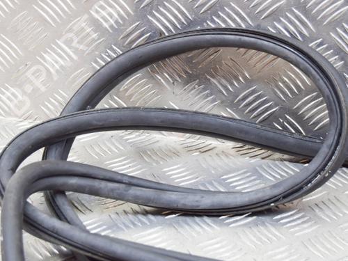 Rubber door seal BMW 7 (F01, F02, F03, F04) 740 d | BP14619595C142 