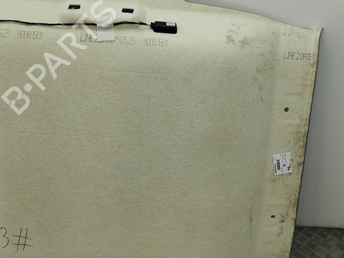 Interior roof PEUGEOT 2008 II (UD_, US_, UY_, UJ_, UR_, UC_) e-2008 (UKZKXZ) | BP29042358I12 