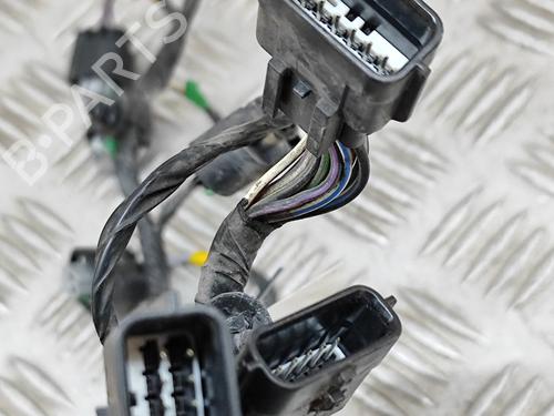 Wiring harness LAND ROVER RANGE ROVER SPORT II (L494) 3.0 SDV6 4x4 | BP28550534E16 