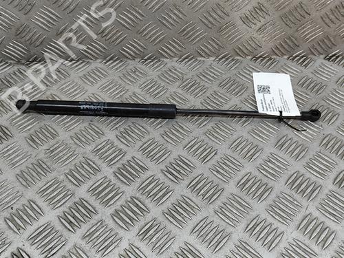 Gasdemper motorkap ALFA ROMEO GIULIA (952_) 2.0 (952ACA25) (280 hp) 23248940