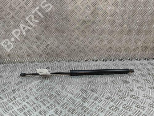 Used Tailgate lift support FORD TRANSIT CUSTOM V362 Bus (F3) 2.2 TDCi (100 hp) 18879160