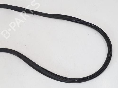 Rubber door seal TESLA MODEL S (5YJS) 75D AWD | BP20232936C142 
