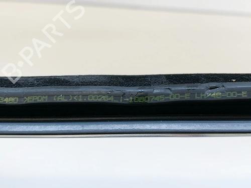 Dørliste TESLA MODEL 3 (5YJ3) EV | BP27747746C150  - Image 7