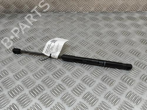 Hood lift support HYUNDAI KONA (SX2) EV | BP27786183C139