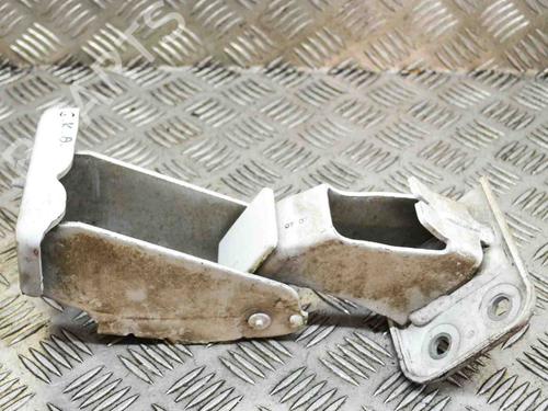 Hinge/Door check strap PEUGEOT EXPERT Van (VF3A_, VF3U_, VF3X_) 1.6 HDi 90 16V | BP14634345C146