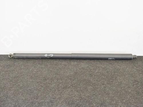 Used Tailgate lift support Tailgate lift support TESLA MODEL X (5YJX) 90D AWD (525 hp) 20233147 20233147