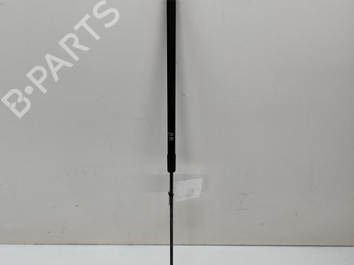 Hood lift support VW GOLF VII (5G1, BQ1, BE1, BE2) 2.0 R 4motion | BP24580826C139 