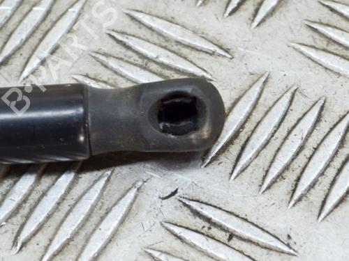 Hood lift support LAND ROVER RANGE ROVER EVOQUE (L538) 2.0 D 4x4 | BP14636785C139 