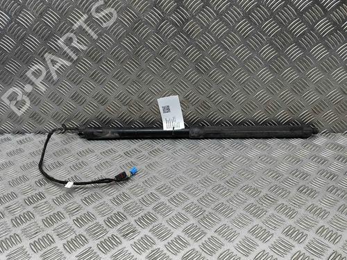 tailgate-lift-support-porsche-panamera-970-2009-2010-2011-2012-2013-2014-2015-2016-2017-29373526 main image
