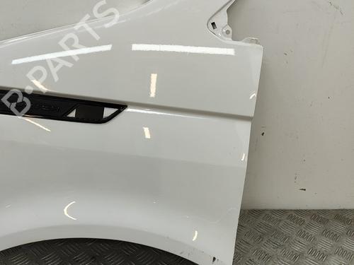 Left front fenders VW TRANSPORTER T6 Van (SGA, SGH, SHA, SHH) 2.0 TDI | BP29920601C41