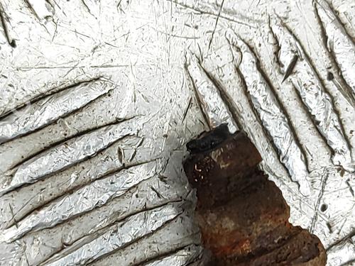 Left rear brake caliper LAND ROVER RANGE ROVER EVOQUE (L538) 2.2 D 4x4 | BP29753057M107