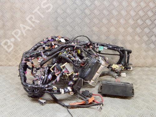 Used Wiring harness Wiring harness TESLA MODEL S (5YJS) 85 (367 hp) 14646851 14646851