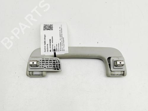Interior roof handle VW AMAROK (2HA, 2HB, S1B, S6B, S7A, S7B, AGD) 2.0 BiTDI 4motion | BP31314918I35 