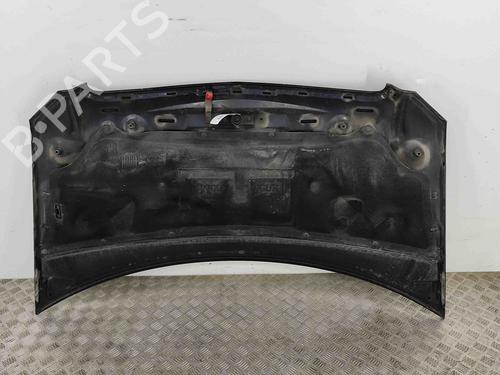 Hood MERCEDES-BENZ VITO / MIXTO Van (W639) 113 CDI 4x4 (639.601, 639.603, 639.605) | BP29730636C1 
