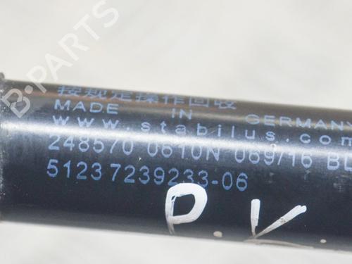 Hood lift support BMW 2 Coupe (F22, F87) 228 i | BP14624465C139 