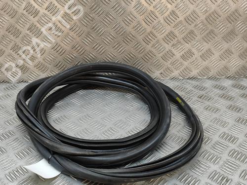 Rubber door seal BMW 3 Touring (F31) 318 d xDrive | BP29076213C142