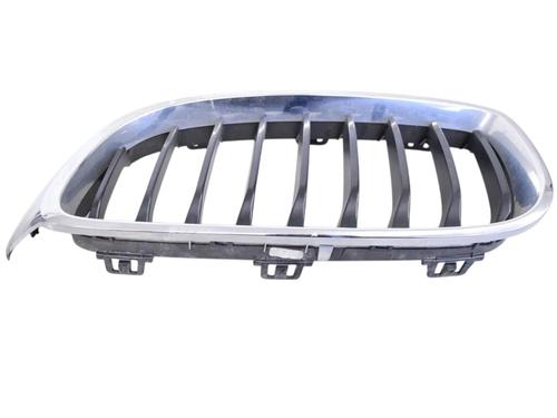 Grill FORD USA MUSTANG Coupe 5.0 302 | BP30256420C40