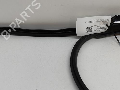 Door moulding trim LAND ROVER RANGE ROVER VELAR (L560) 3.0 D300 SDV6 4x4 | BP21187981C150 