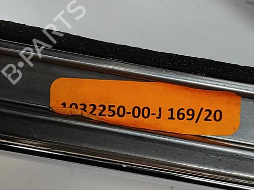 Door moulding trim TESLA MODEL X (5YJX) P100D AWD | BP28435657C150 