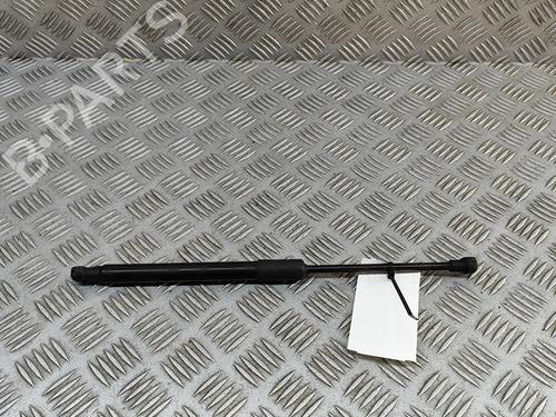 hood-lift-support-audi-a5-f53-f5p-2016-29227171 main image