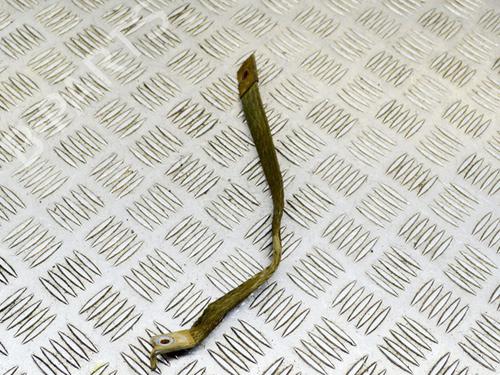 Cable BMW i3 (I01) s Electric | BP27753535E12 